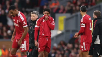 تحذير ليفربول.. ريدناب يطالب سلوت بصفقات شتوية لإنقاذ الفريق من مرحلة الهزال